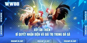 Vảy Án Thiên - Bí Quyết Nhận Diện Và Giá Trị Trong Đá Gà